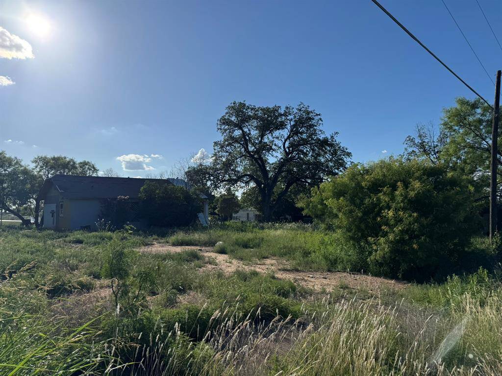 703 W 2nd Street, Brady, TX 76825