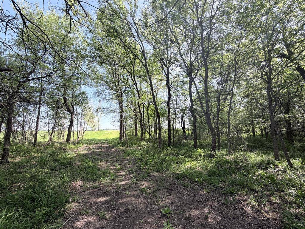 TBD County Road 3204, Abbott, TX 76621