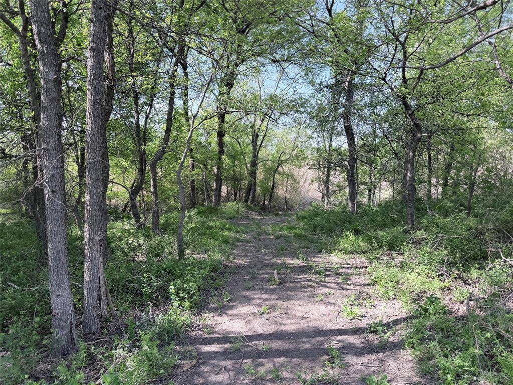 TBD County Road 3204, Abbott, TX 76621