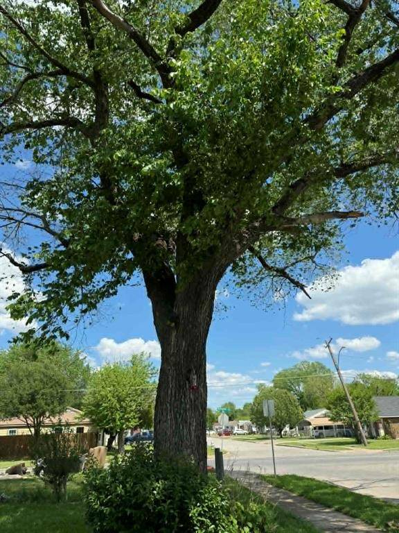 2671 Moffatt Avenue, Dallas, TX 75216