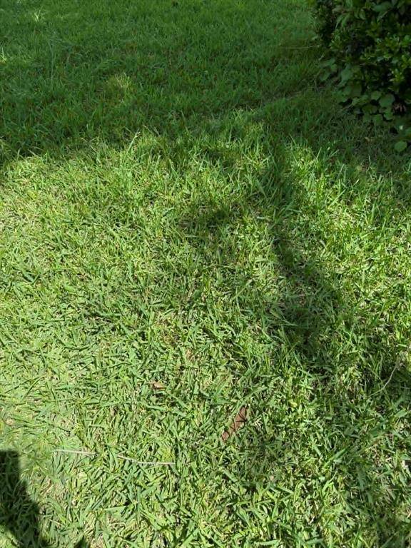 2671 Moffatt Avenue, Dallas, TX 75216