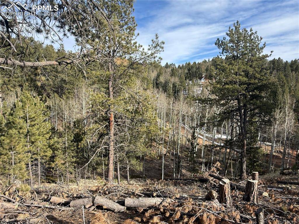 162 Eagle DR, Divide, CO 80813