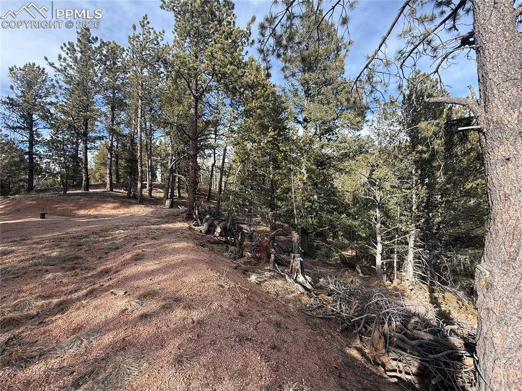 162 Eagle DR, Divide, CO 80813