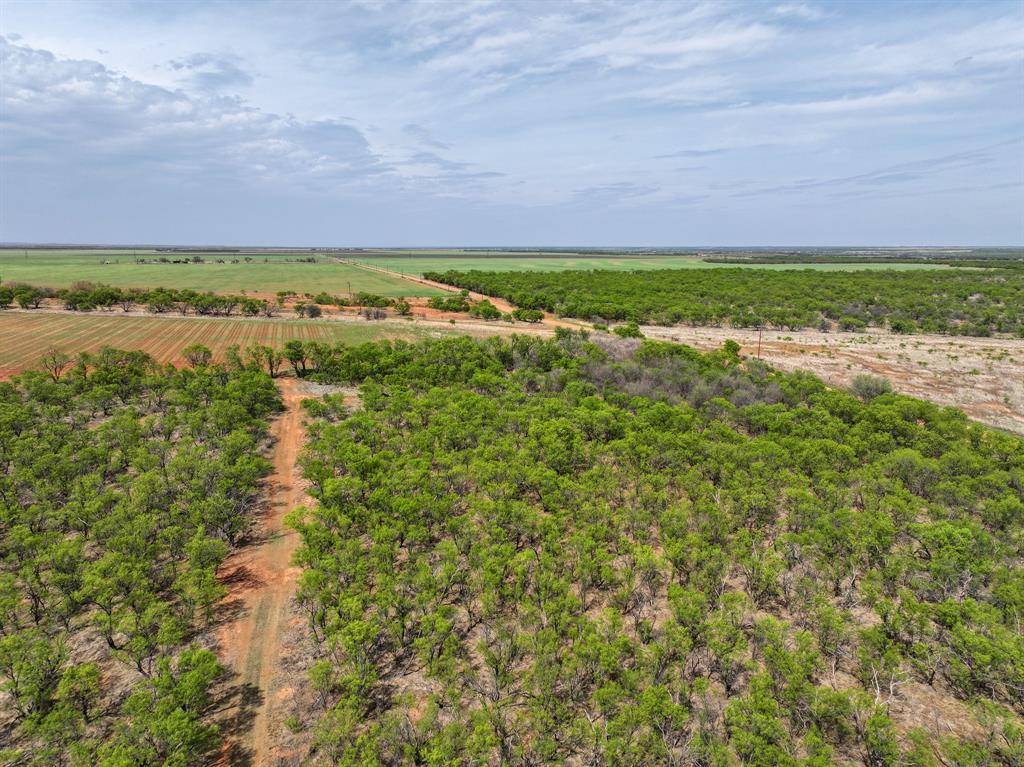 TBD Cr 134, Old Glory, TX 79540