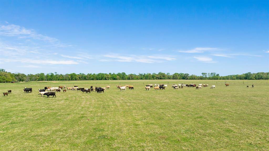 000 COUNTY ROAD 2356, Detroit, TX 75436