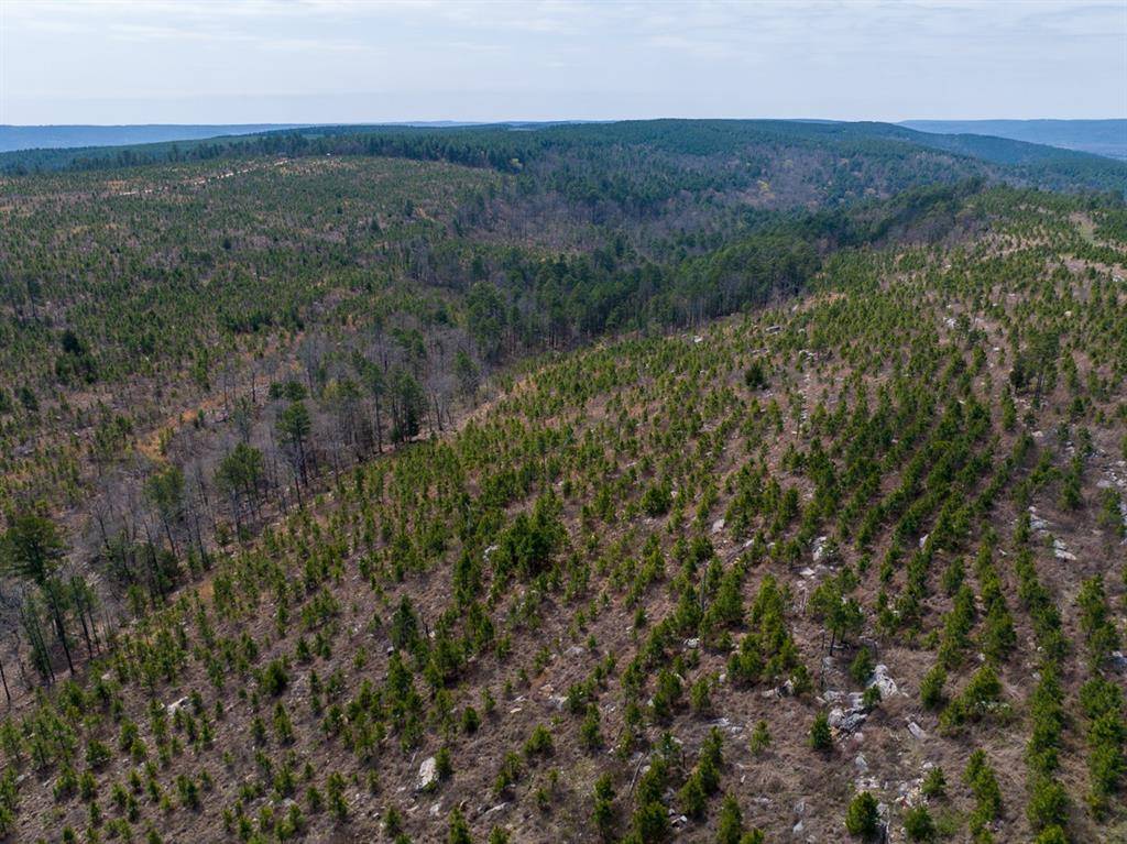 1 Off N4220, Antlers, OK 74523