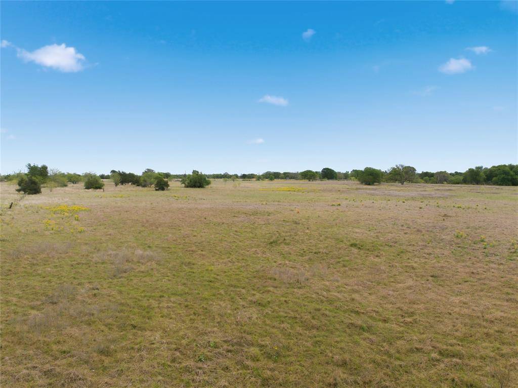 TBD George Wachel Road, Bremond, TX 77806