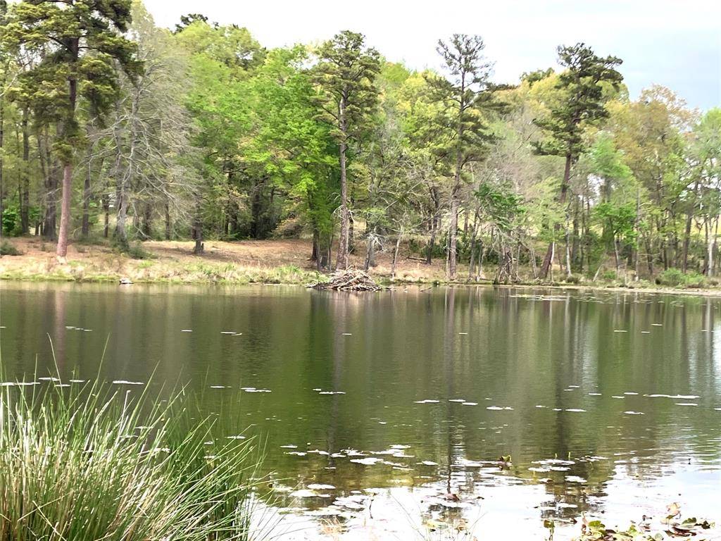 Lot 64 White Oak Creek Ranch, Big Sandy, TX 75755