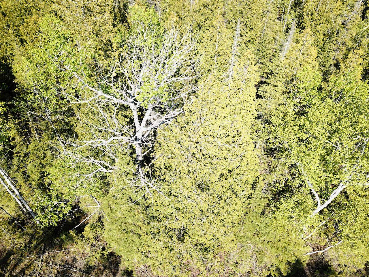 30 Pike ST, Northern Bruce Peninsula, ON N0H 1W0