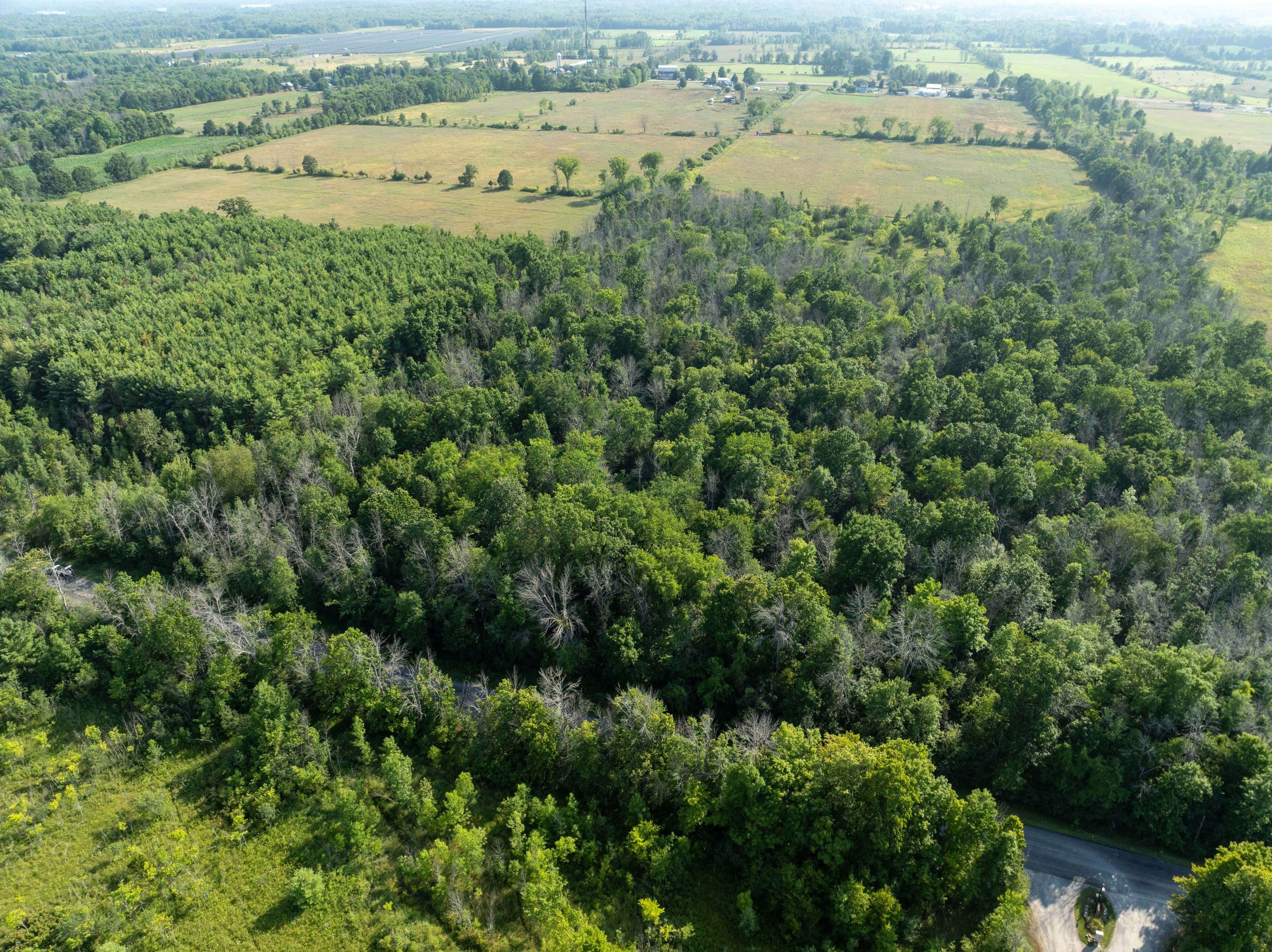 PT LT 6 Sunnyside RD, Rideau Lakes, ON K0G 1X0