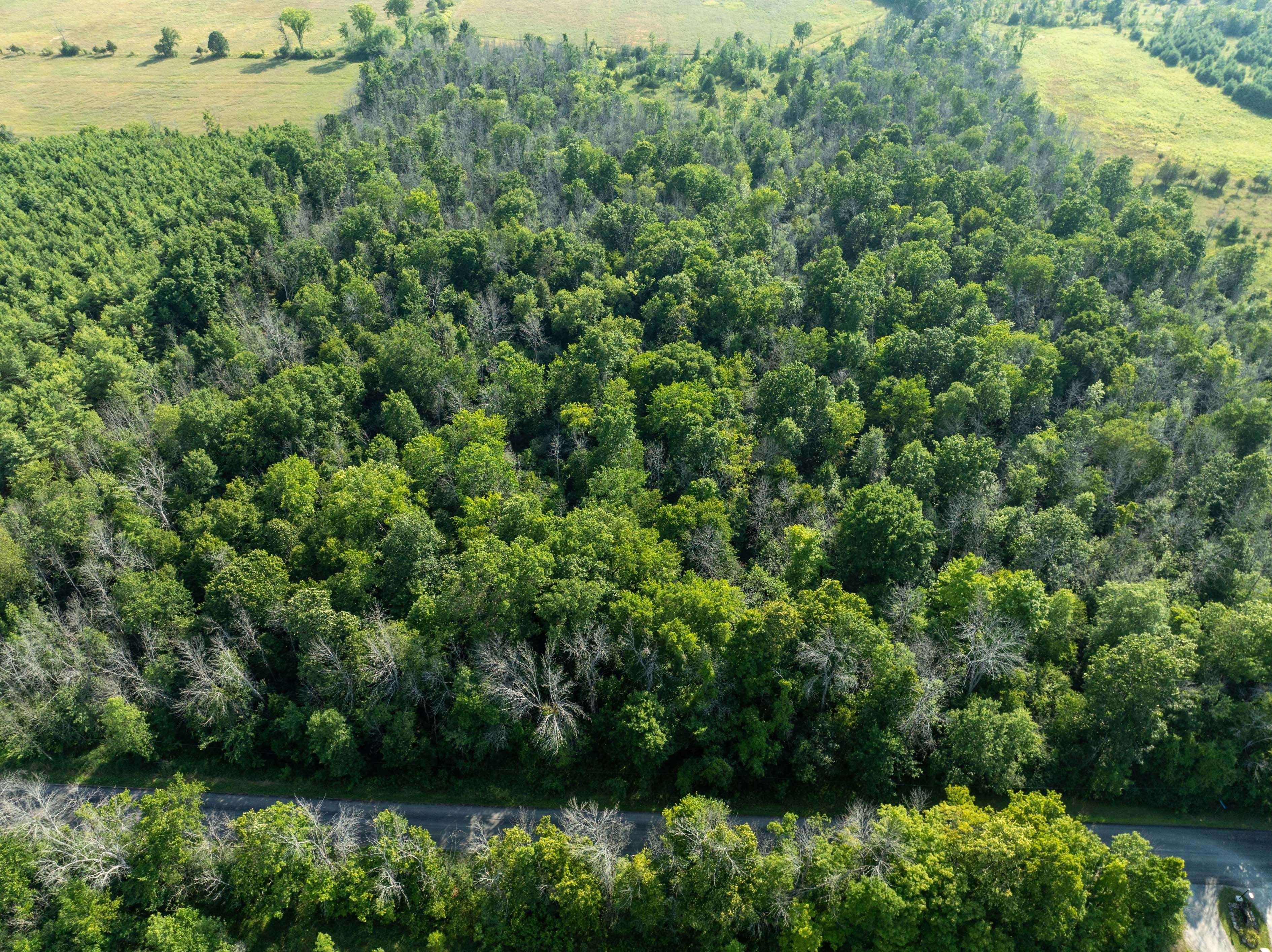 PT LT 6 Sunnyside RD, Rideau Lakes, ON K0G 1X0