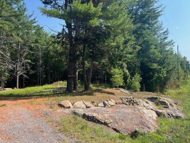 942 Balmer RD, North Kawartha, ON K0L 1A0