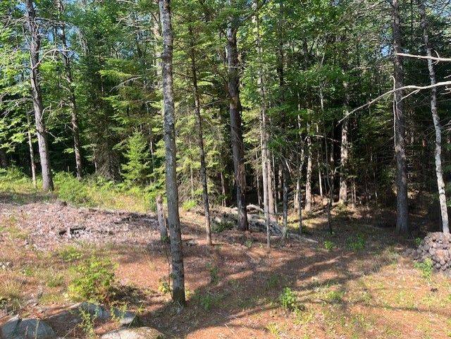 942 Balmer RD, North Kawartha, ON K0L 1A0