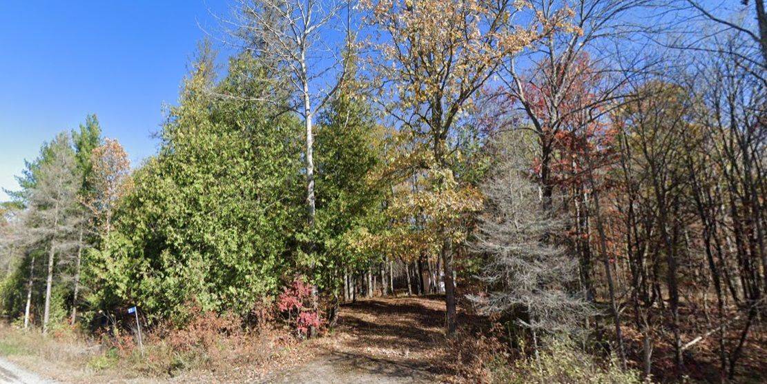 93 McCleary RD, Marmora And Lake, ON K0K 2M0