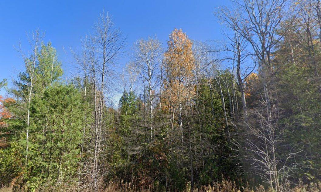 93 McCleary RD, Marmora And Lake, ON K0K 2M0