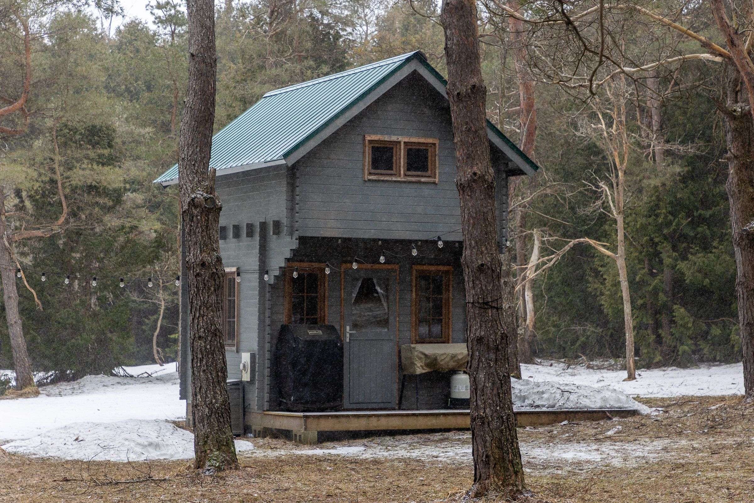 736073 West Back Line, Chatsworth, ON N0C 1H0