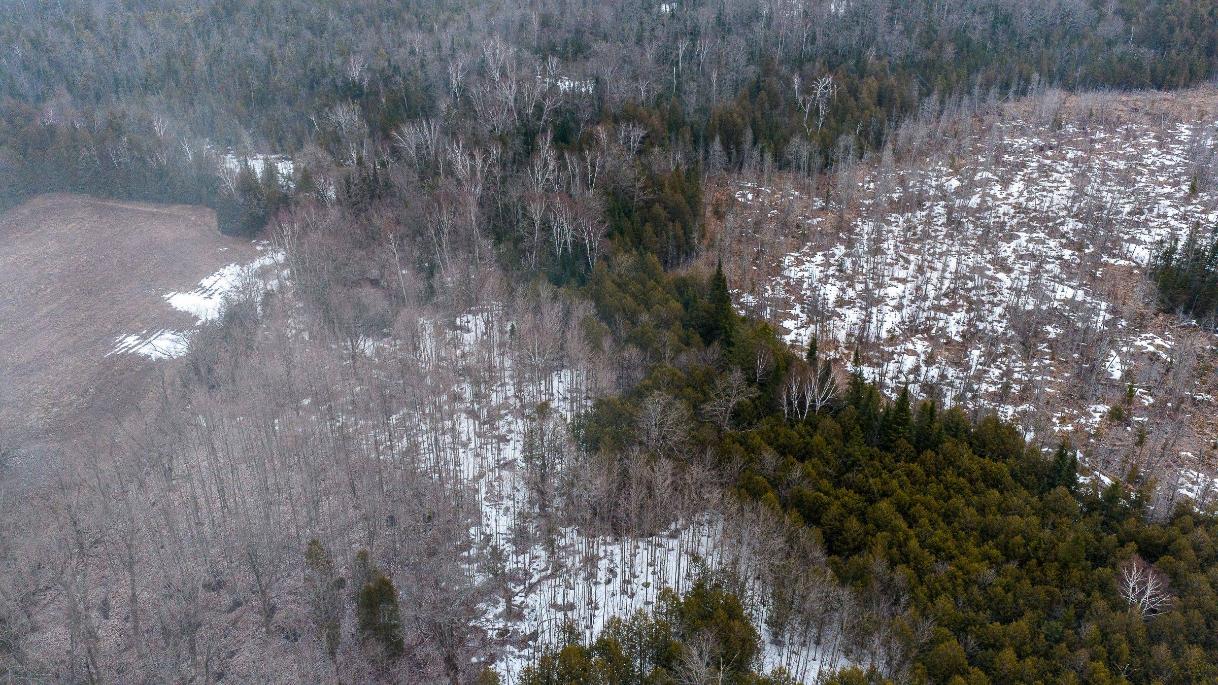 736073 West Back Line, Chatsworth, ON N0C 1H0