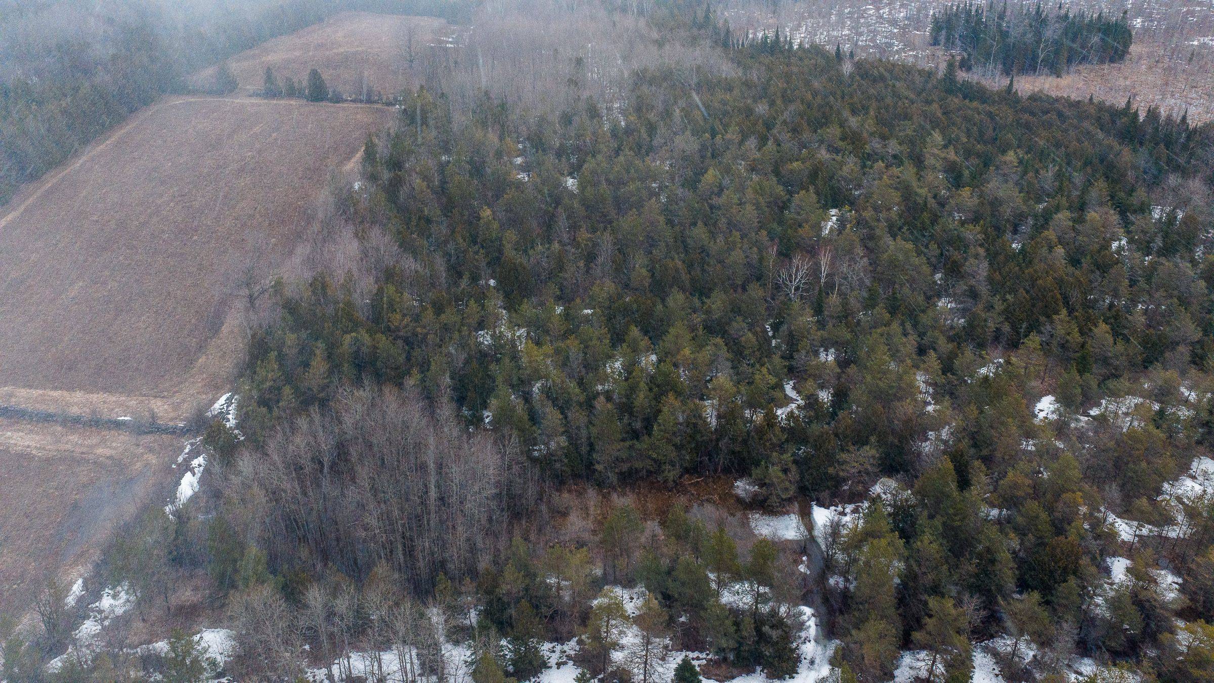 736073 West Back Line, Chatsworth, ON N0C 1H0