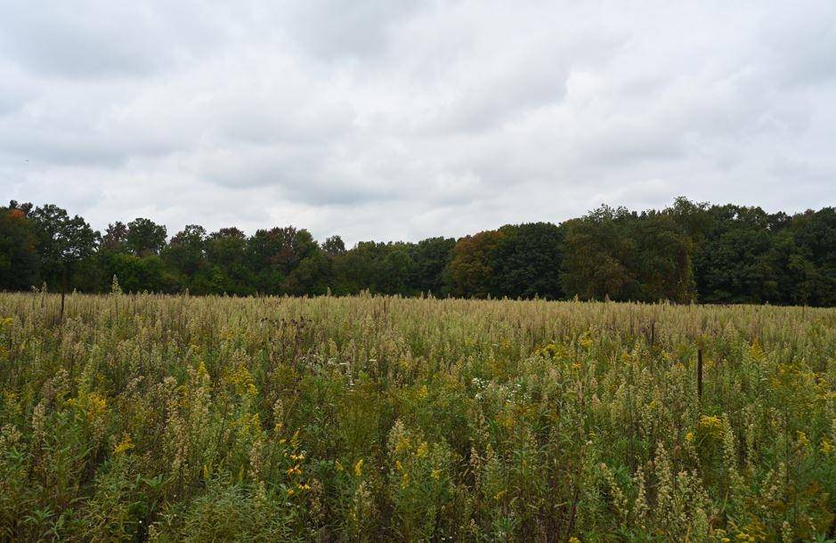 0 Gale RD, Bennington Twp, MI 48857