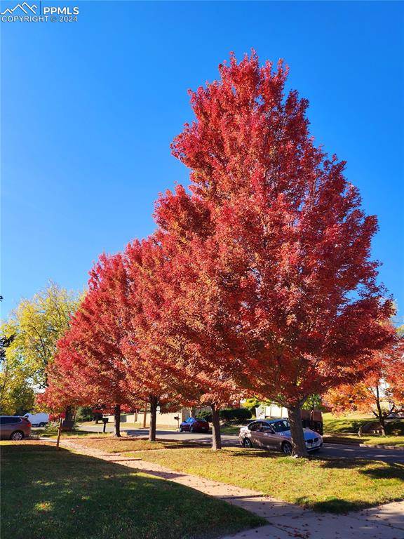 822 Willow ST, Trinidad, CO 81082