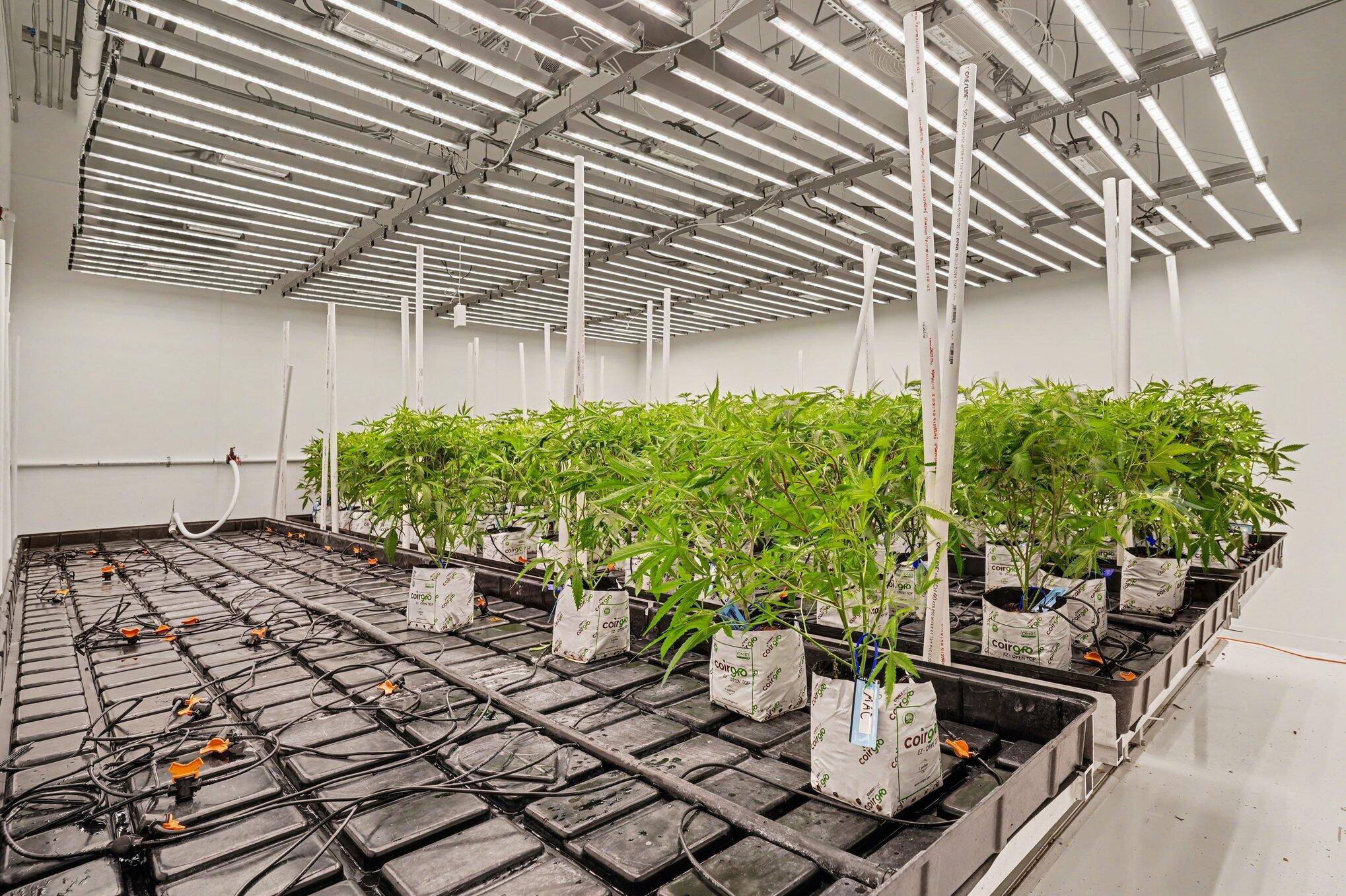 6764 Just Barns DR, Saugatuck Twp, MI 49408