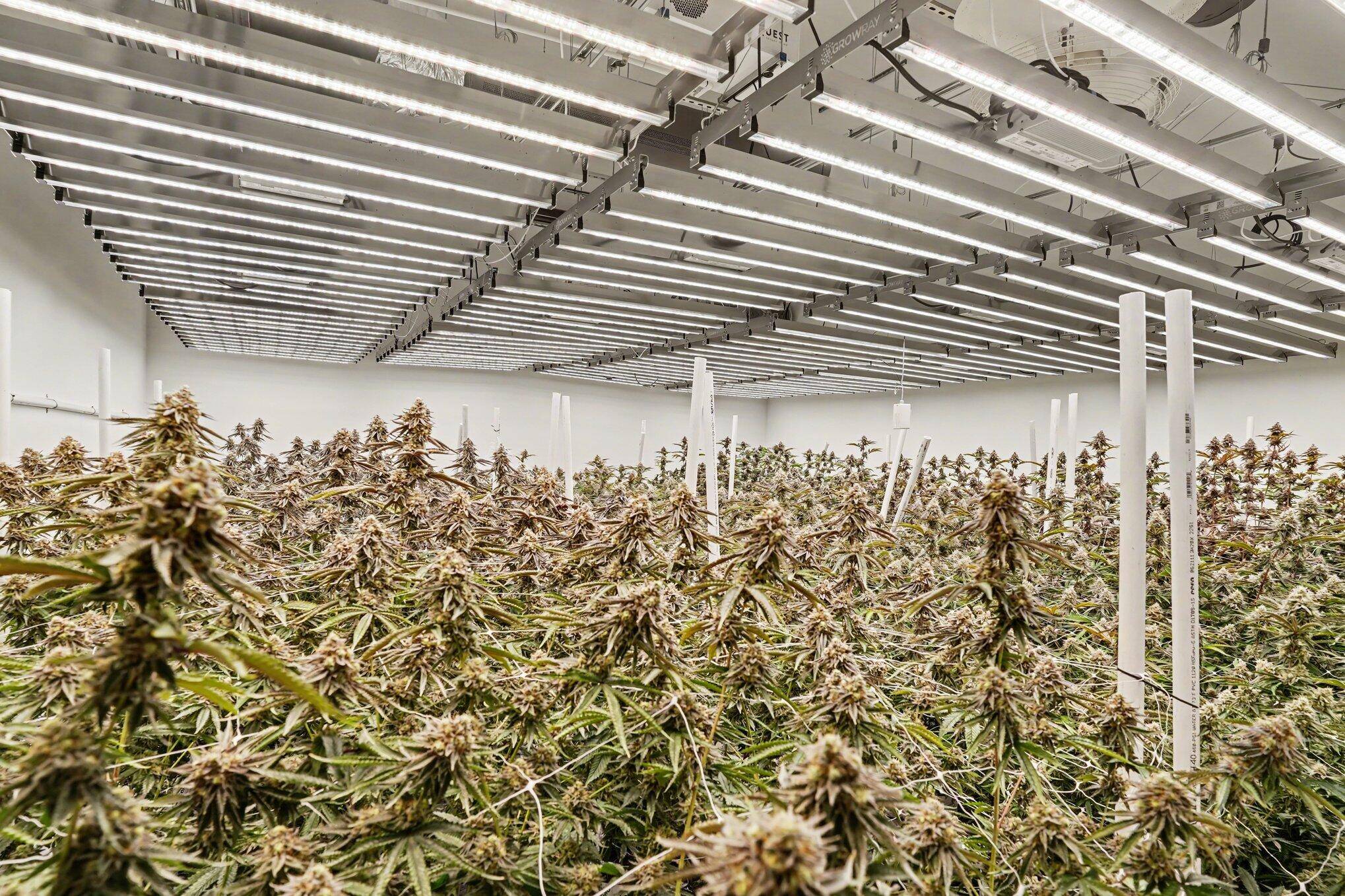 6764 Just Barns DR, Saugatuck Twp, MI 49408