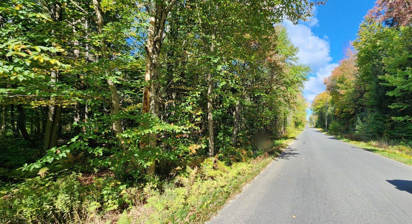 0 Skyline DR, Armour, ON P0A 1C0