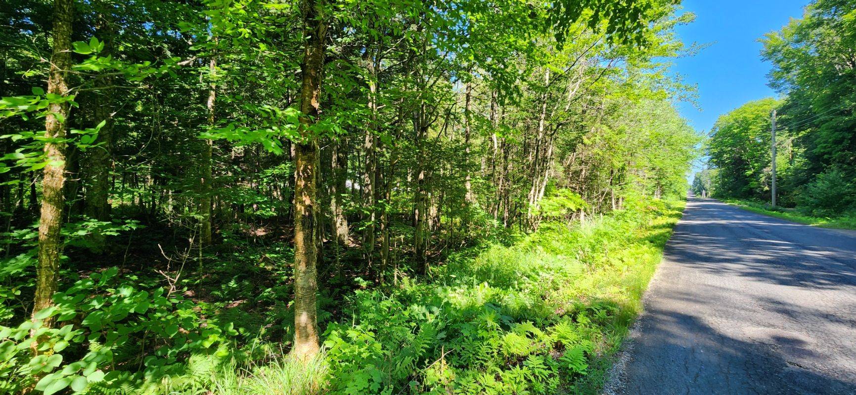 0 Skyline DR, Armour, ON P0A 1C0