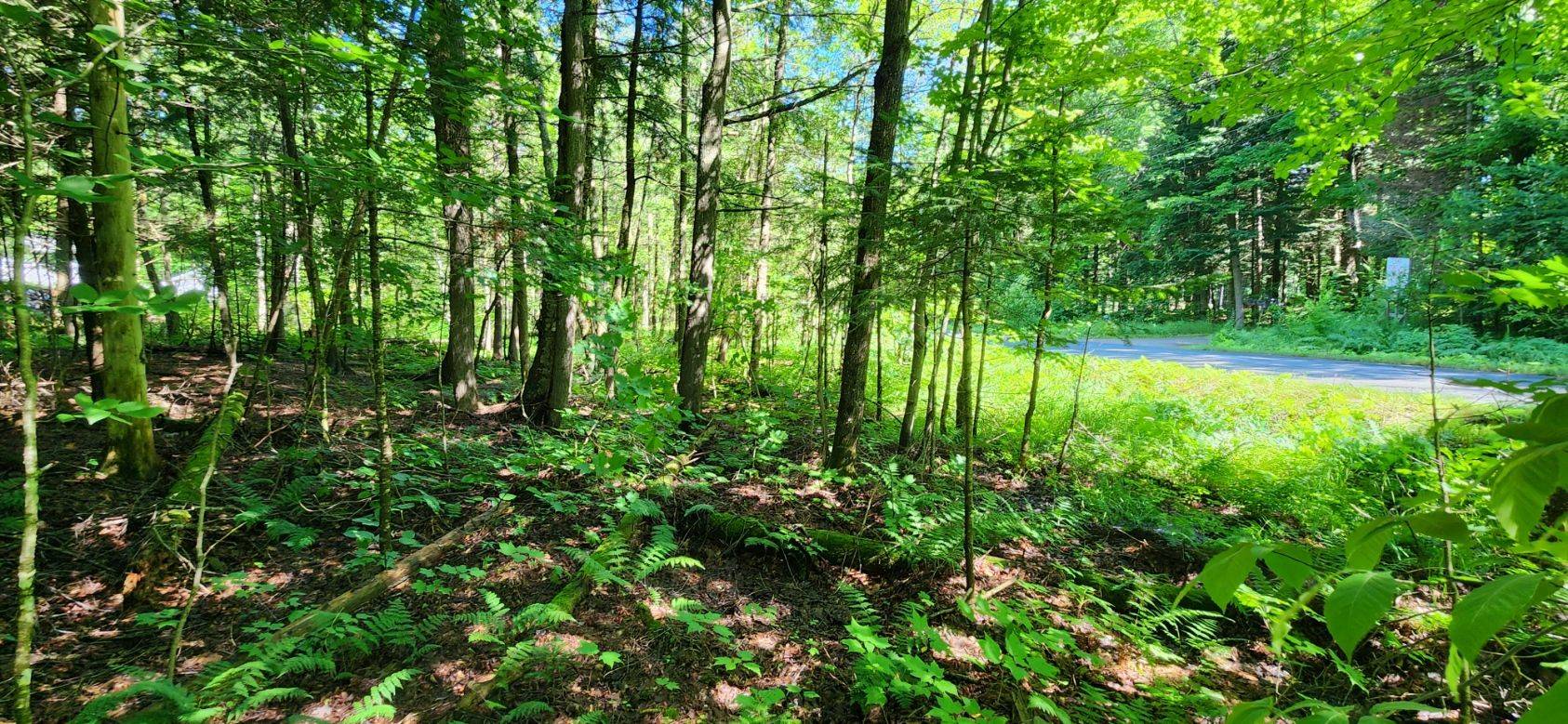 0 Skyline DR, Armour, ON P0A 1C0