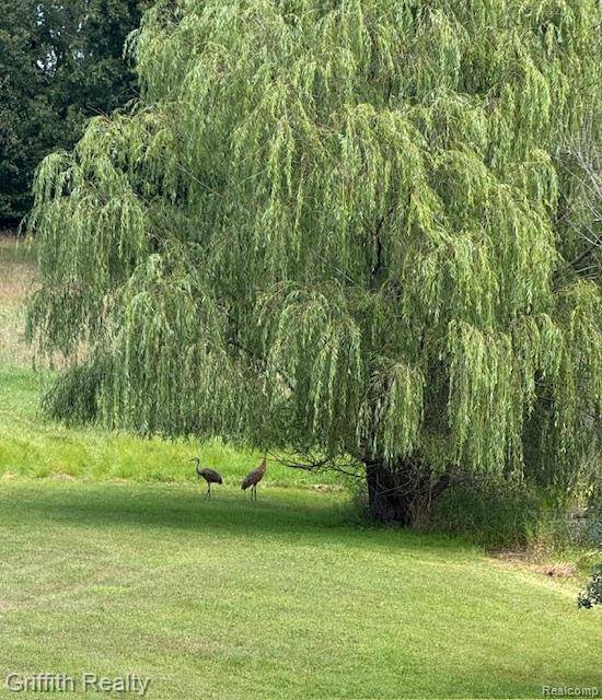 5748 W Coon Lake RD, Mariontownship_livingston, MI 48843