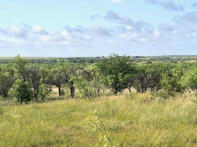 172 FM 601, Albany, TX 76430