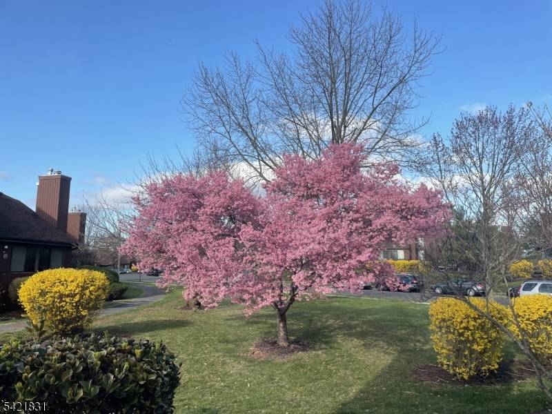 25 Bloomingdale Dr #2C, Hillsborough Twp., NJ 08844