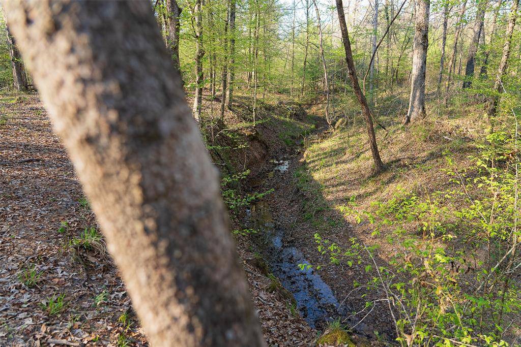 00 Off of State Highway 294, Alto, TX 75925