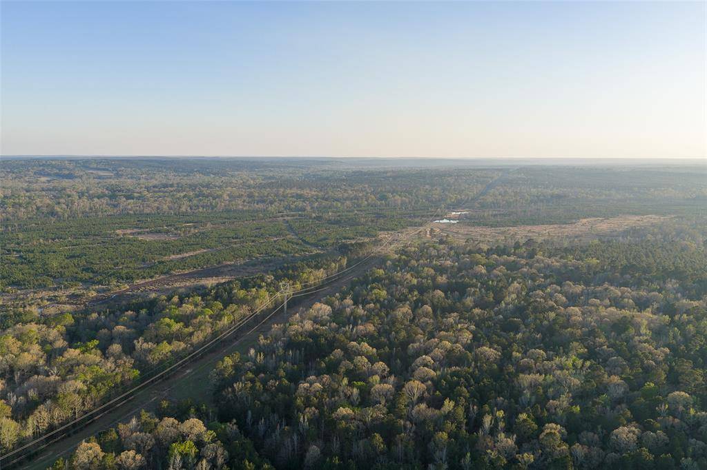 00 Off of State Highway 294, Alto, TX 75925