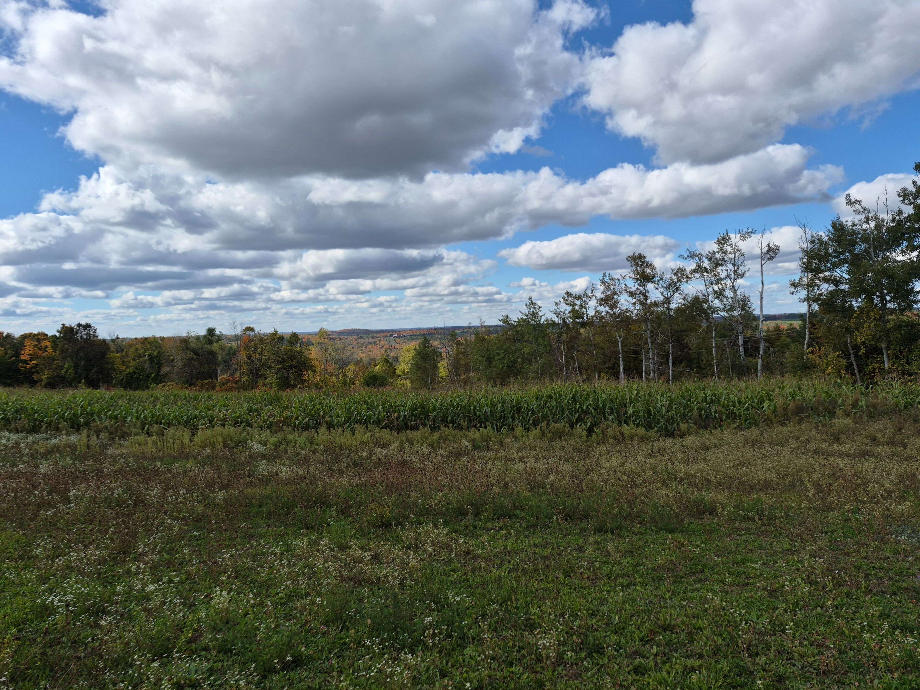 PL 15 Base Line, Otonabee-south Monaghan, ON K0L 2G0