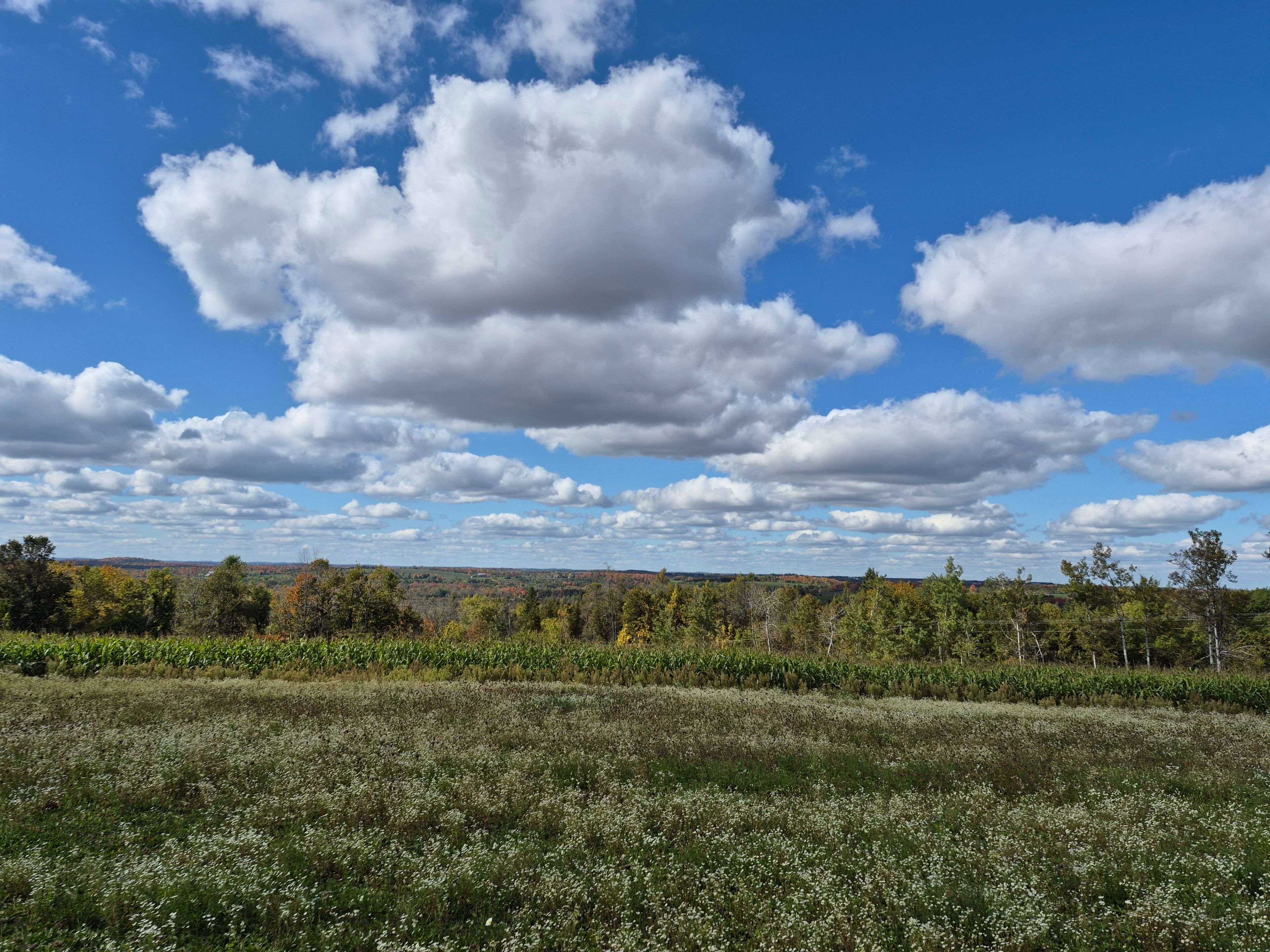 PL 15 Base Line, Otonabee-south Monaghan, ON K0L 2G0