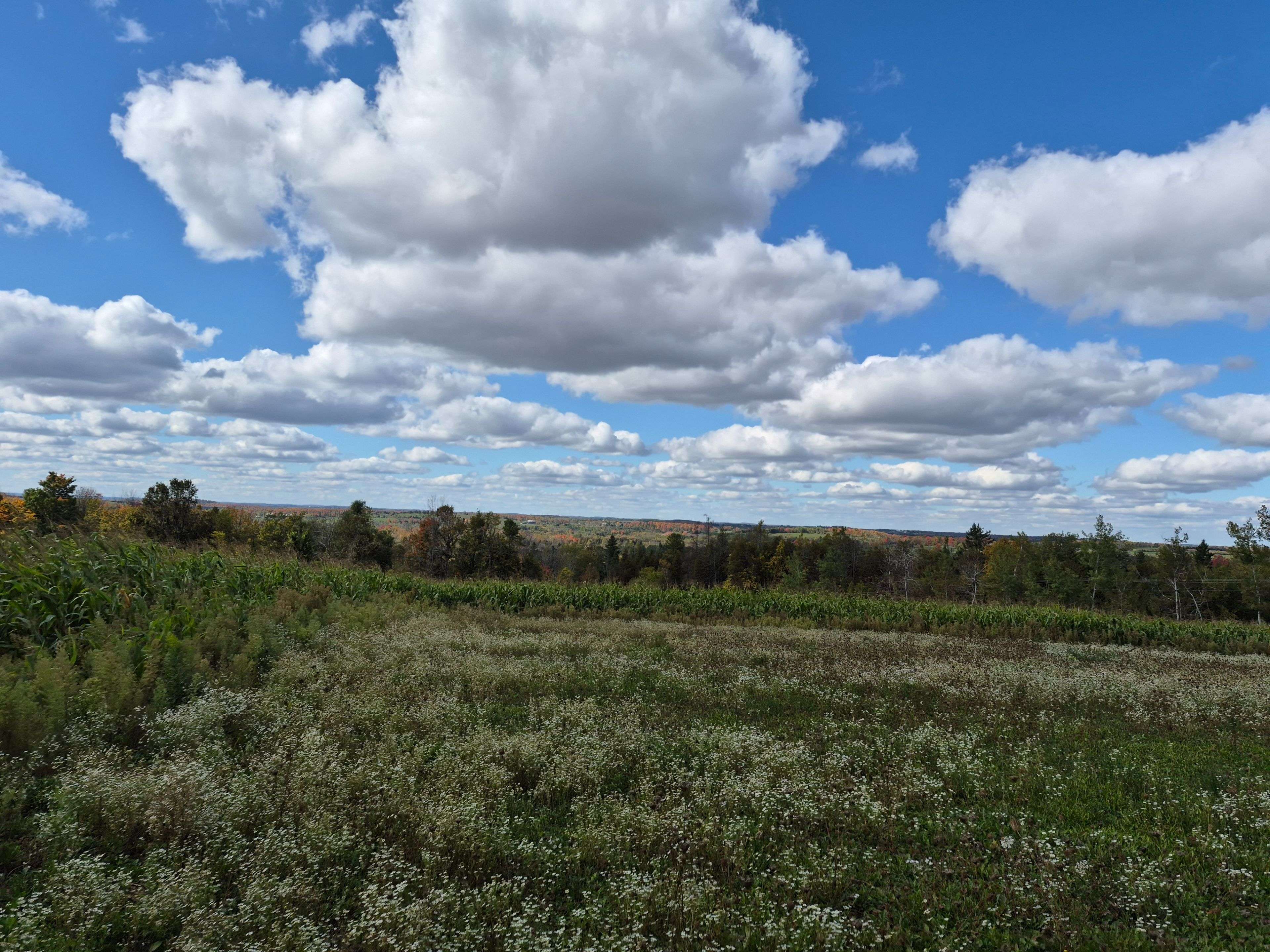 PL 15 Base Line, Otonabee-south Monaghan, ON K0L 2G0