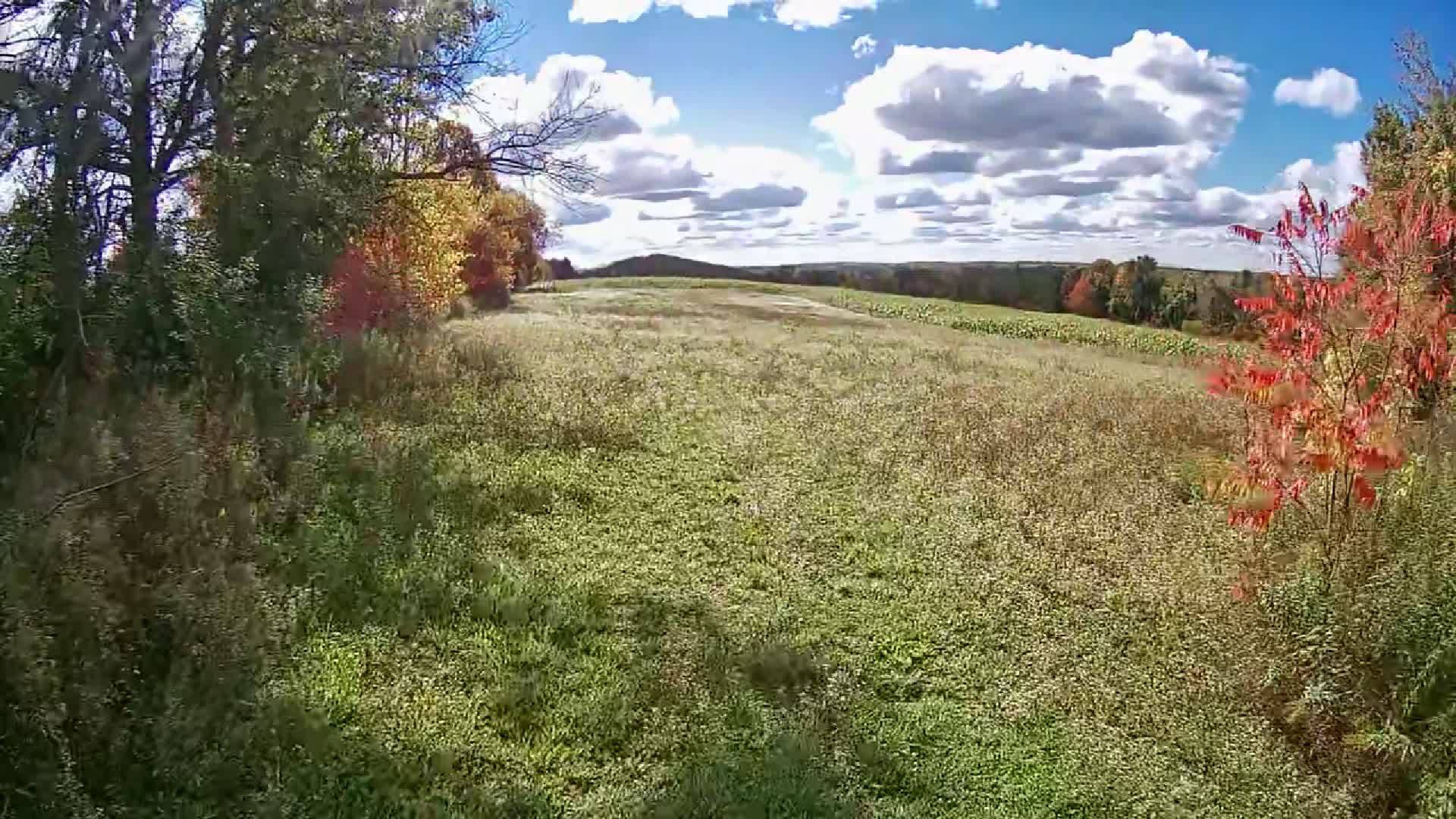 PL 15 Base Line, Otonabee-south Monaghan, ON K0L 2G0