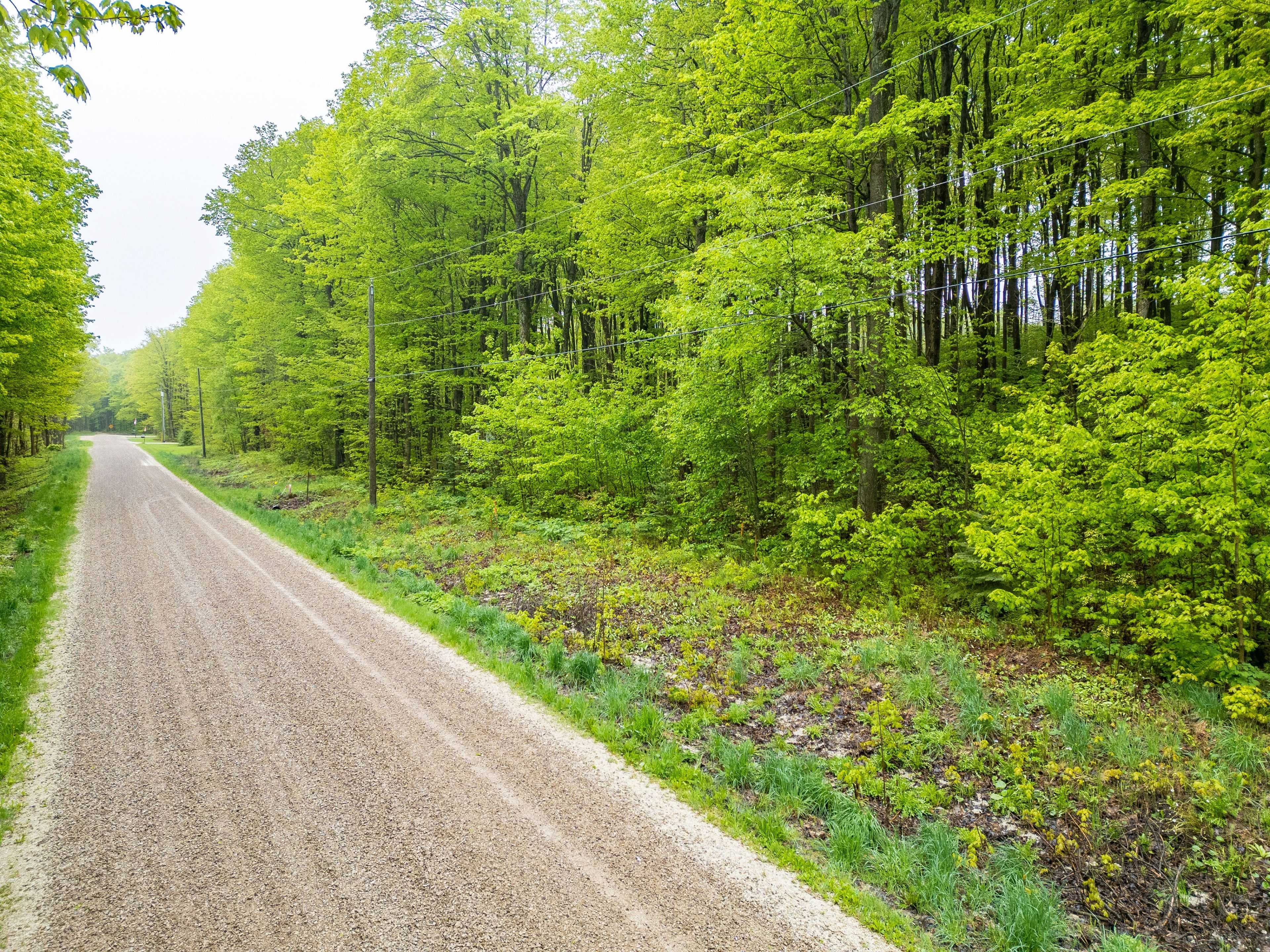 PT LT 6 Baseline RD, Grey Highlands, ON N0C 1H0