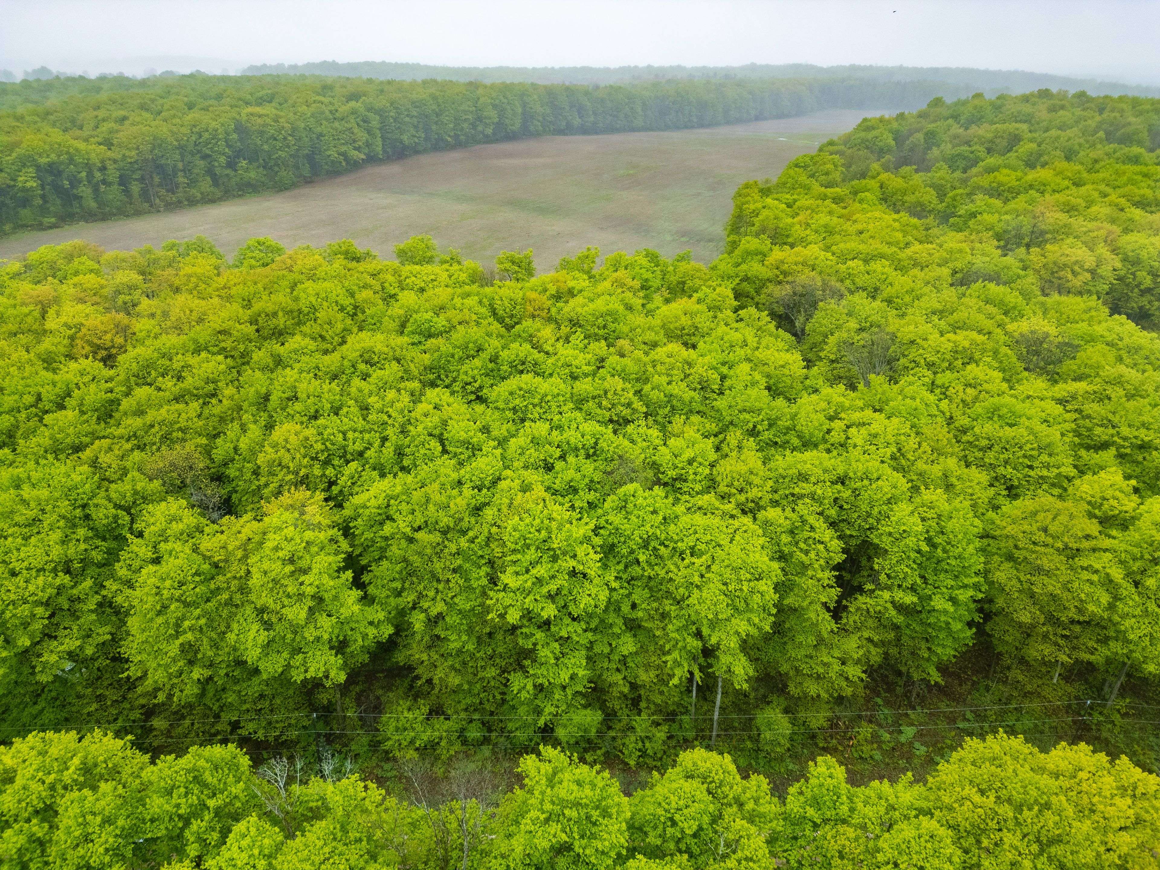 PT LT 6 Baseline RD, Grey Highlands, ON N0C 1H0