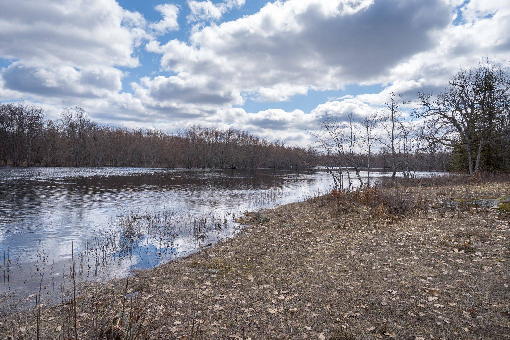 36 Tweedsmuir CRES, Tweed, ON K0K 3J0