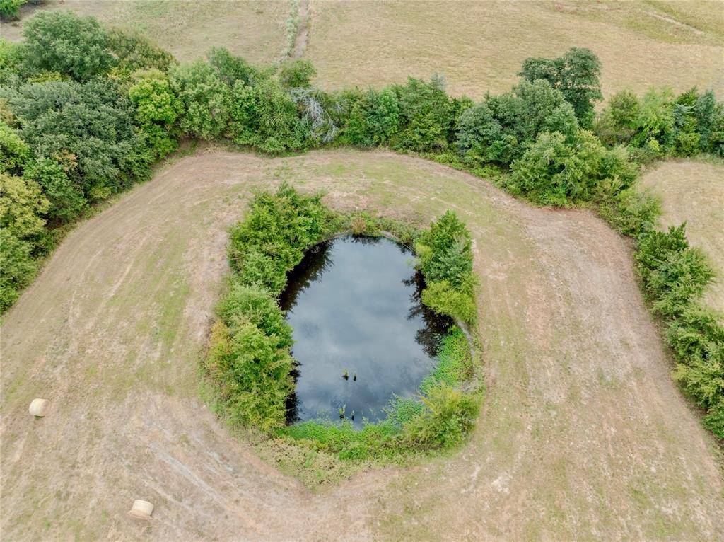 TBD FM 1502 Highway, Blossom, TX 75416