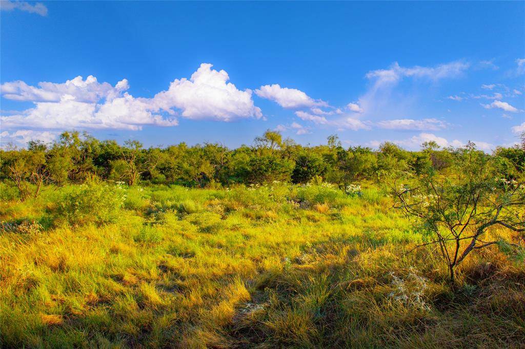 130 Mountain Drive, Graford, TX 76449