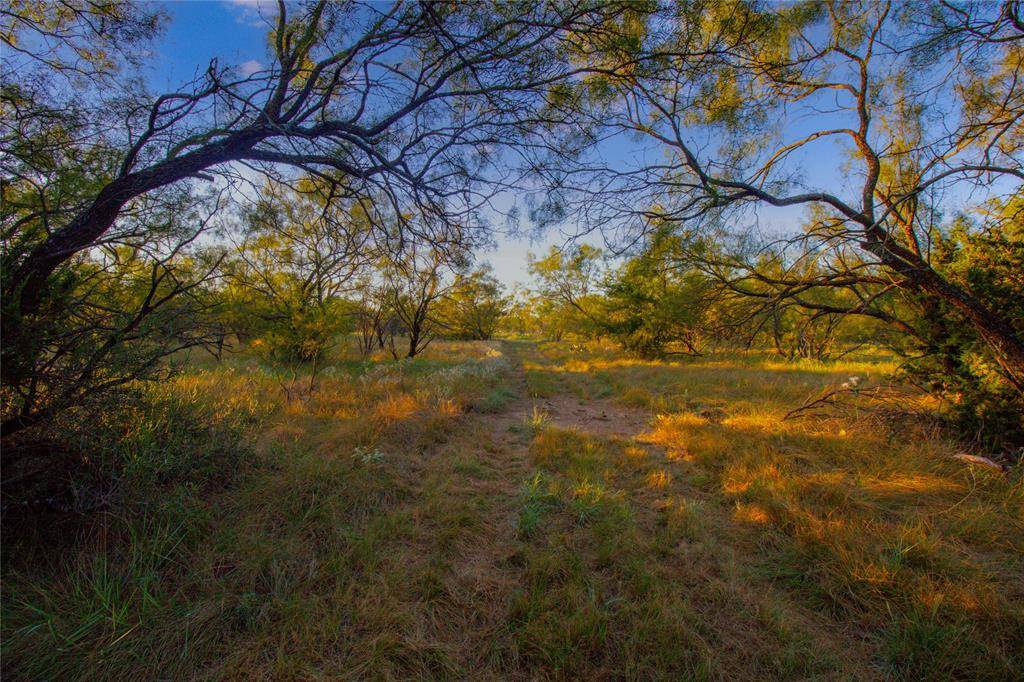 130 Mountain Drive, Graford, TX 76449