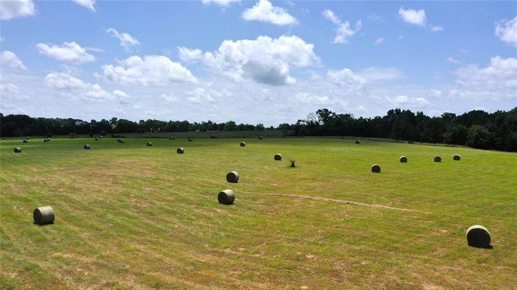 13530 FM 773, Ben Wheeler, TX 75754