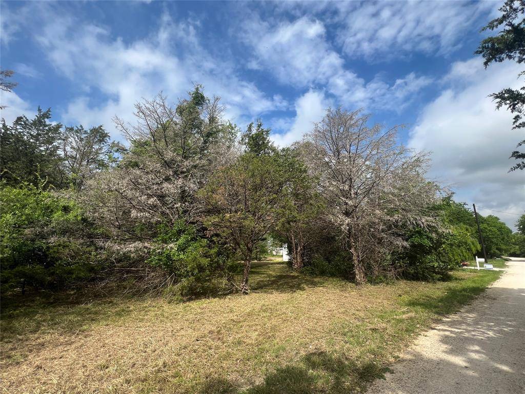 L194-195 NW County Road 3112, Purdon, TX 76679