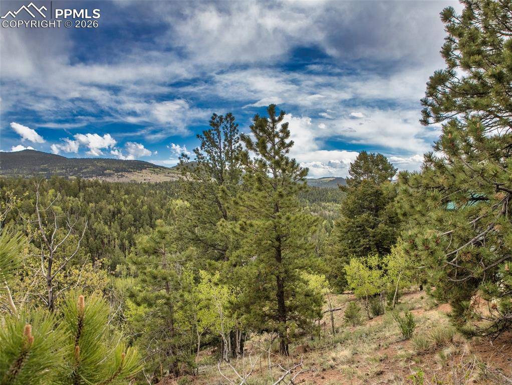 282 Little Topsey DR, Cripple Creek, CO 80813