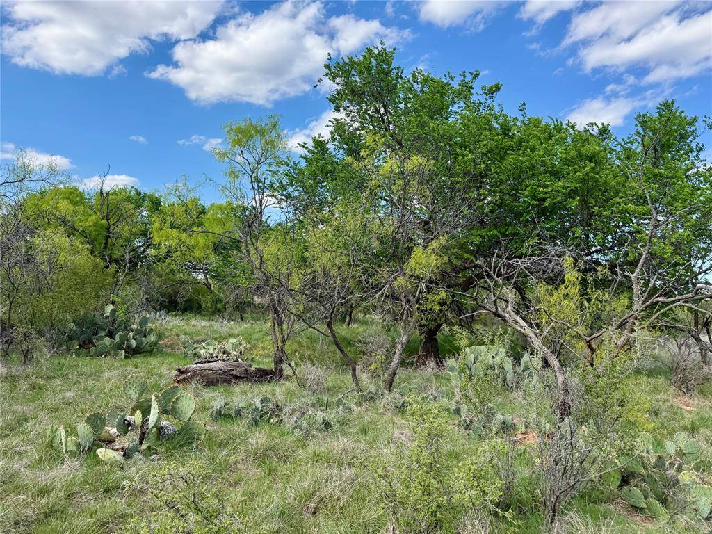 258 County Road 206, Ovalo, TX 79541