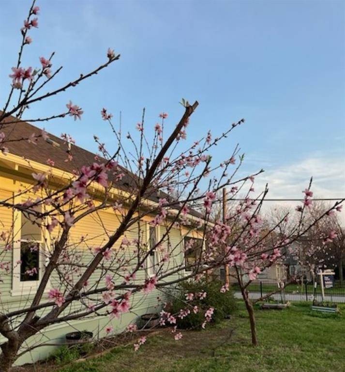 818 W Richmond Avenue, Fort Worth, TX 76110