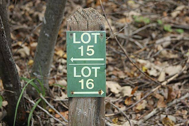 906 Sleepy Hollow Drive, Cedar Hill, TX 75104